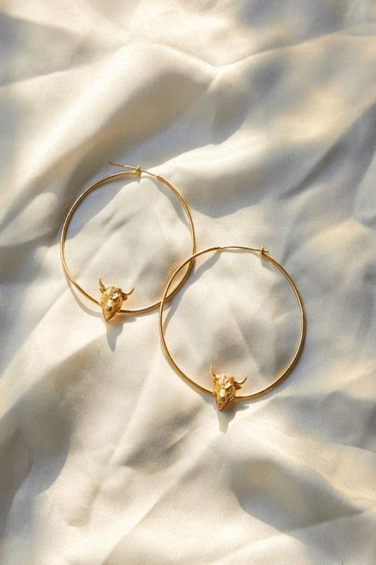 Toro Bravo Hoops